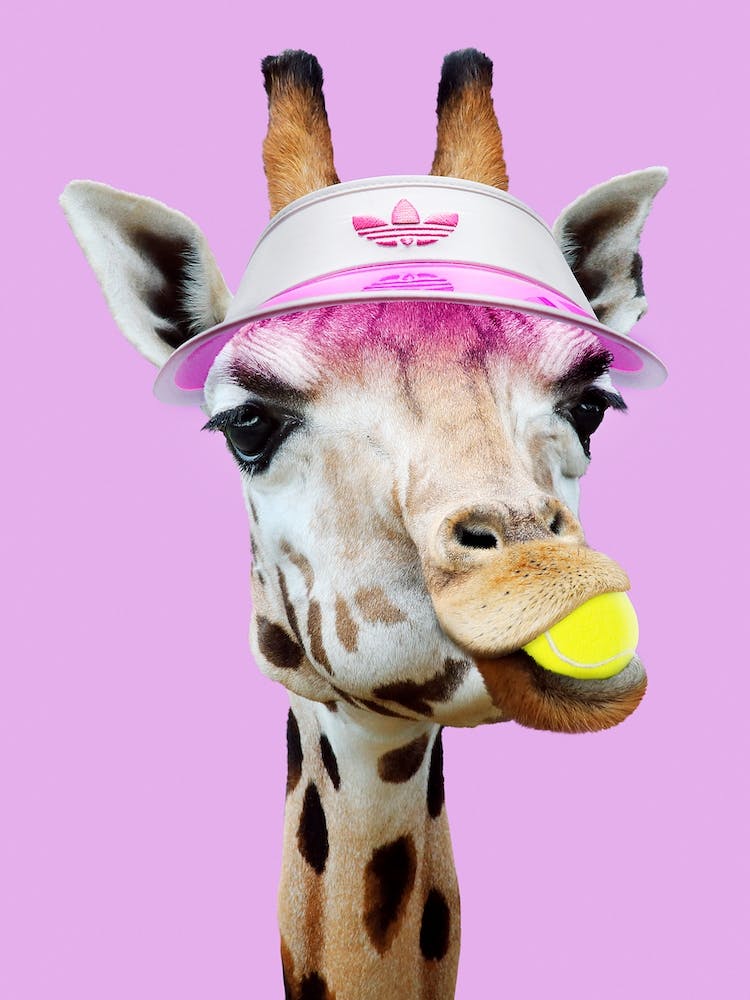 Tennis Giraffee