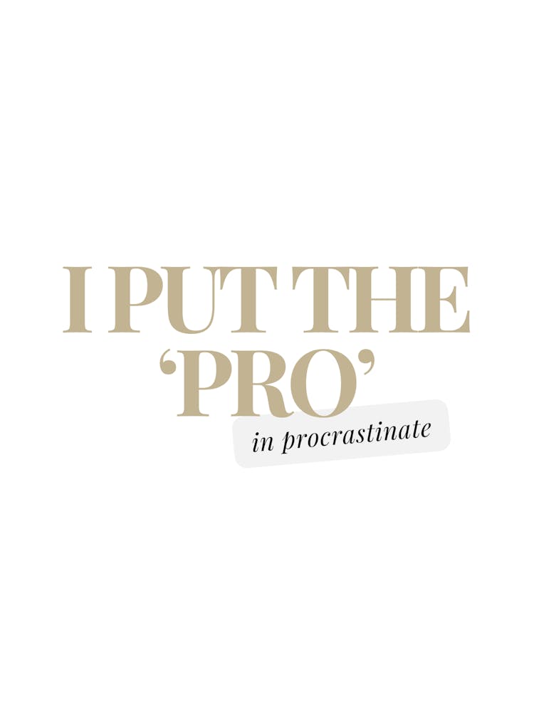 I Put The Pro In Procrastinate