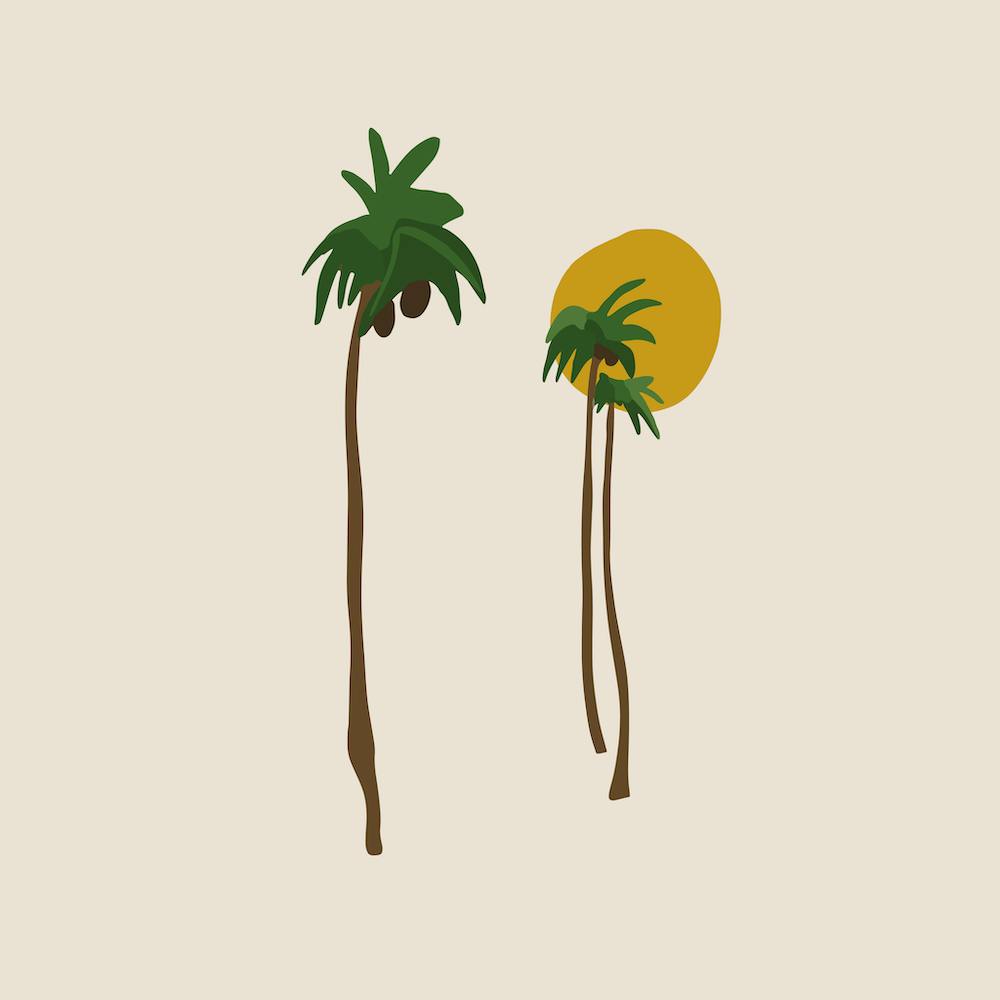 Palm Trees
