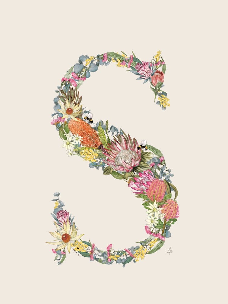 S Oat Alphabet Letter