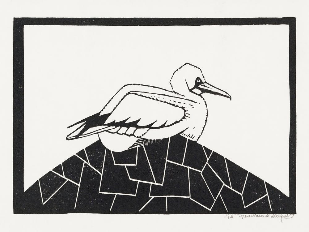 Northern Gannet (1931), Samuel Jessurun
