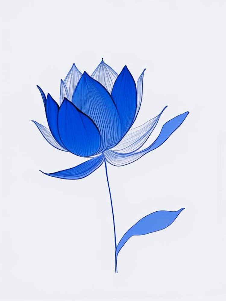 Blue Lotus Minimal Line Drawing 3