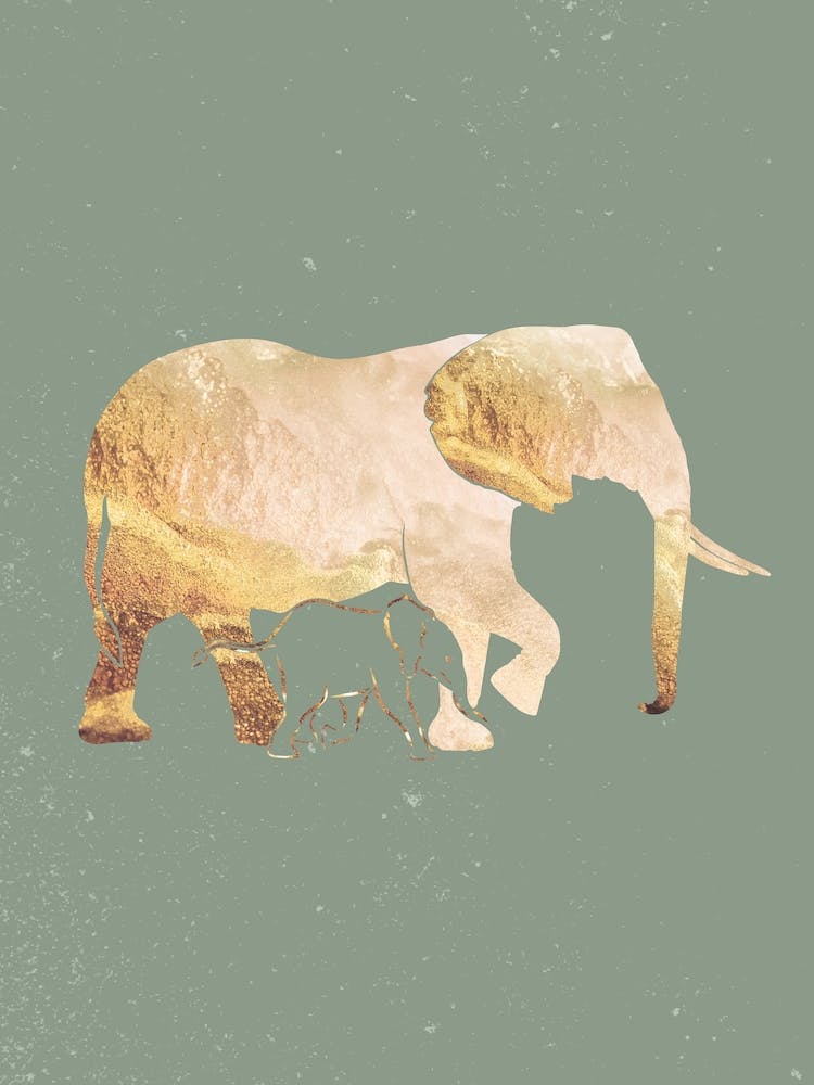 Elephants In The Wild