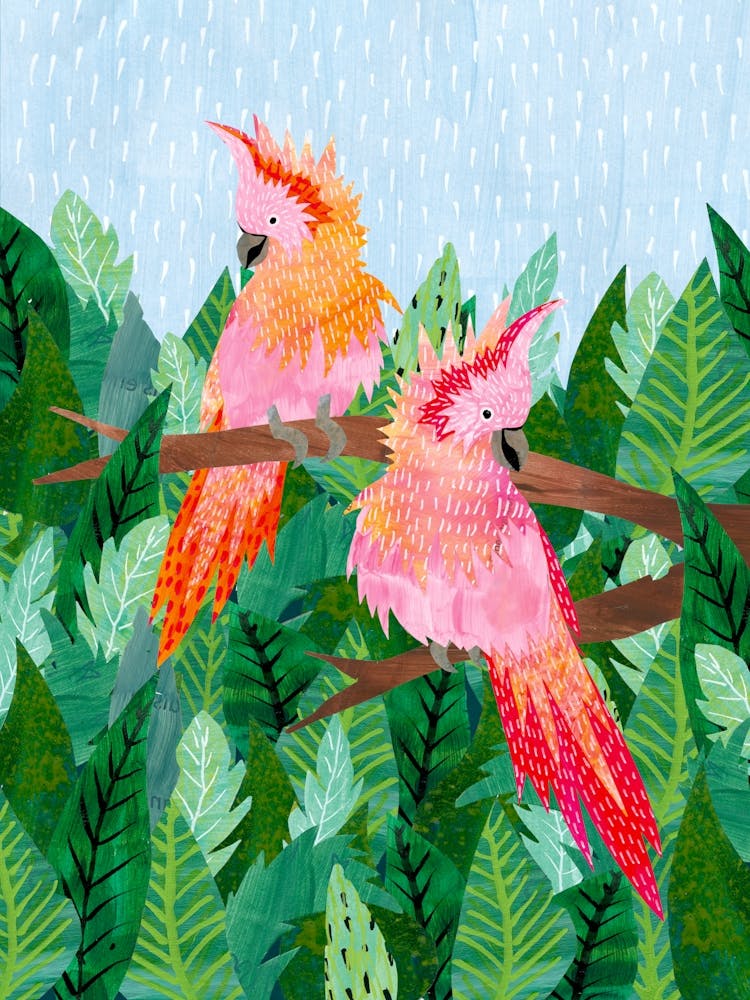 Two Parrots In The Jungle