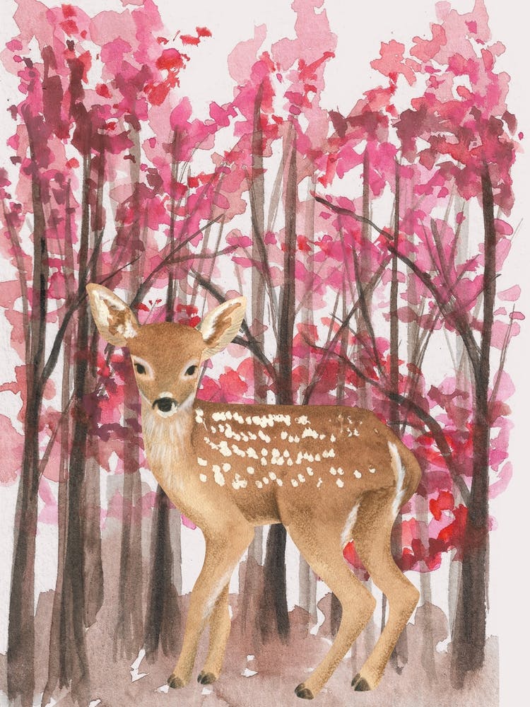 Ratio 3x4 27x36 Inch 1