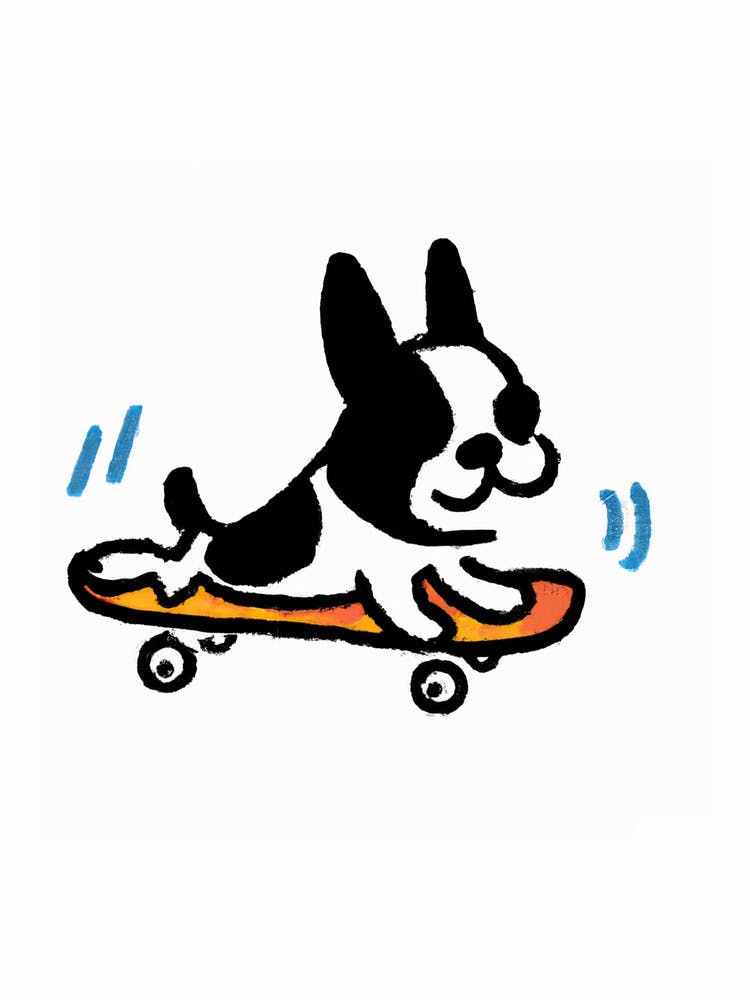 Funny Pug On A Skateboard