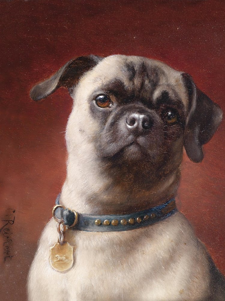 Mops The Pug, Carl Reichert