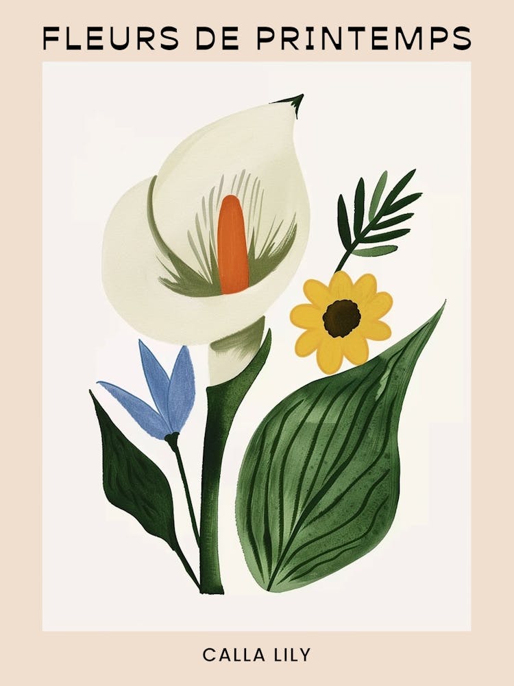 Spring Floral French Poster  Calla Lily 1