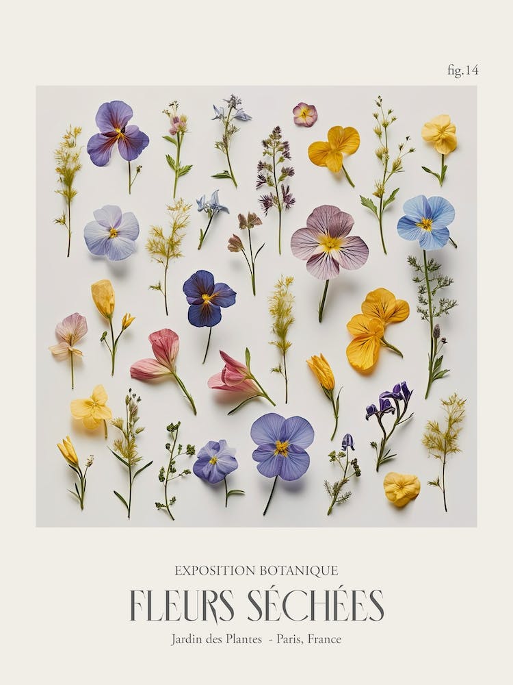 Fleurs Sechees, Dried Flowers Exhibition Poster 14