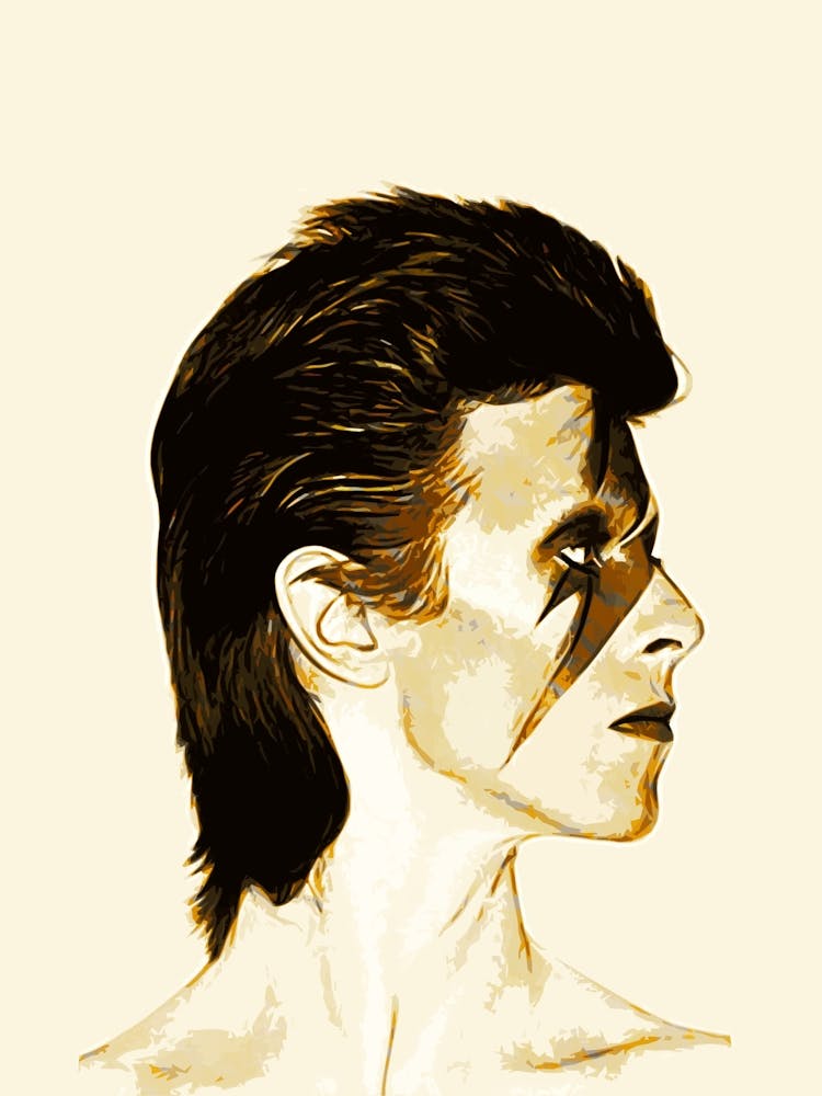 David Bowie 13