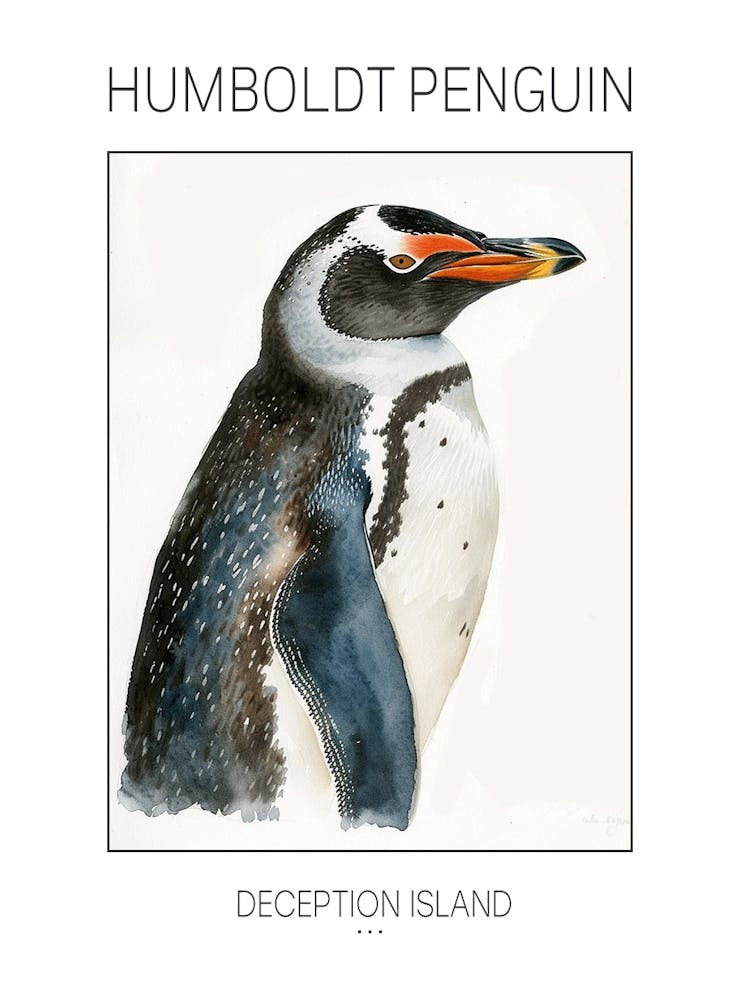 Humboldt Penguin Deception Island Watercolour Painting 3 Poster