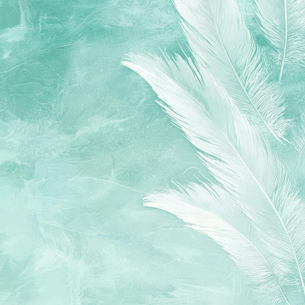 White Feathers On A Turquoise Background