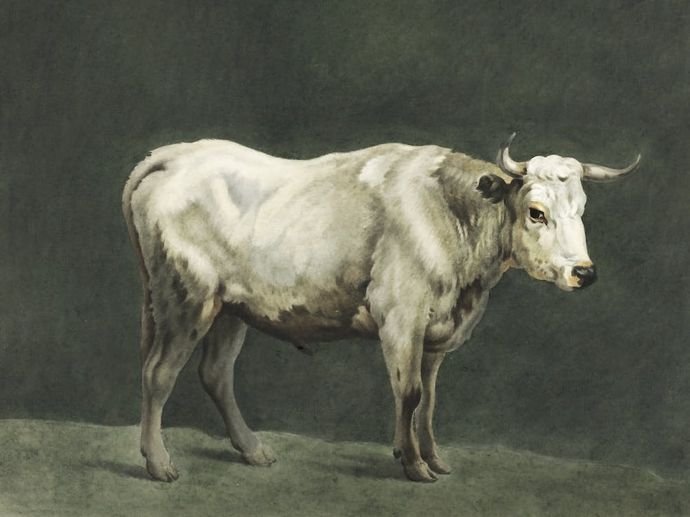 Standing Bull Painting, Jean Bernard