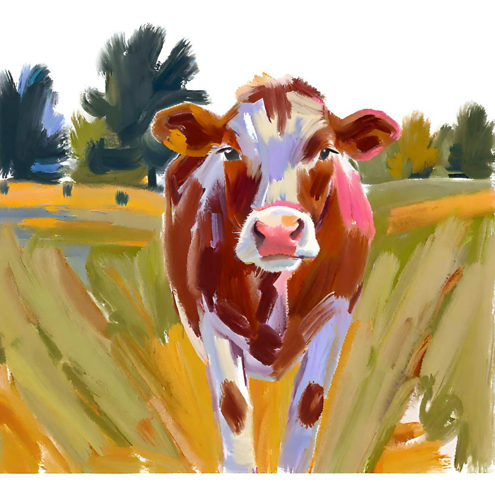 Hereford-Kuh 02