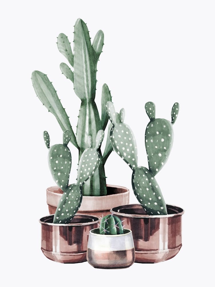 Watercolor Cactus In Rose Gold Pots