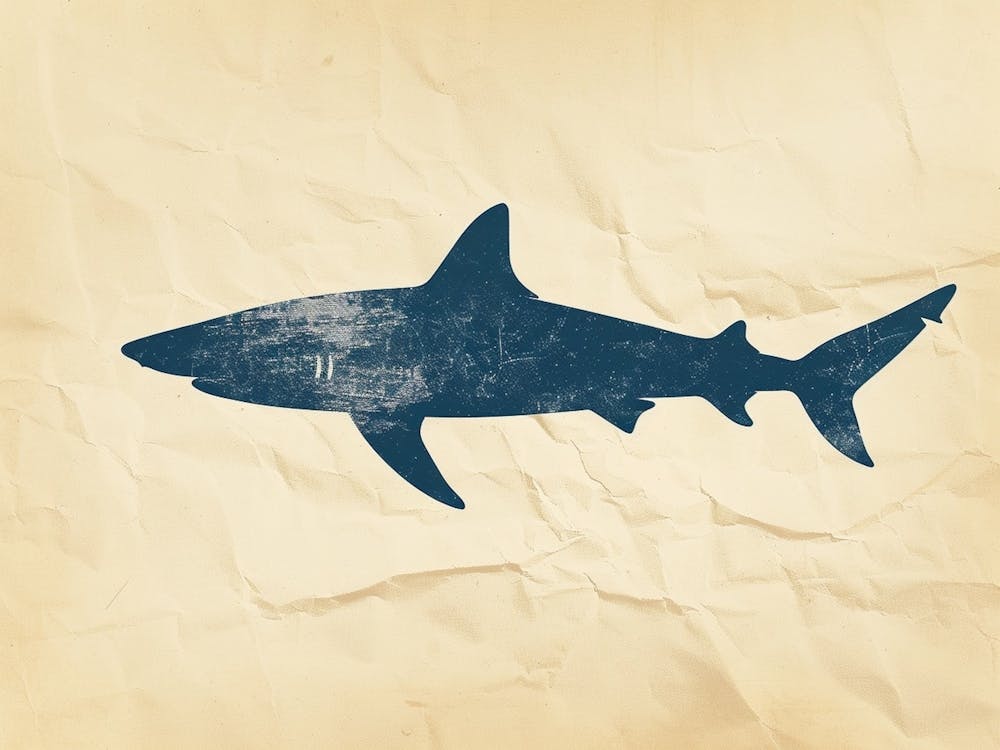 Blue Shark Grey Silhouette 2
