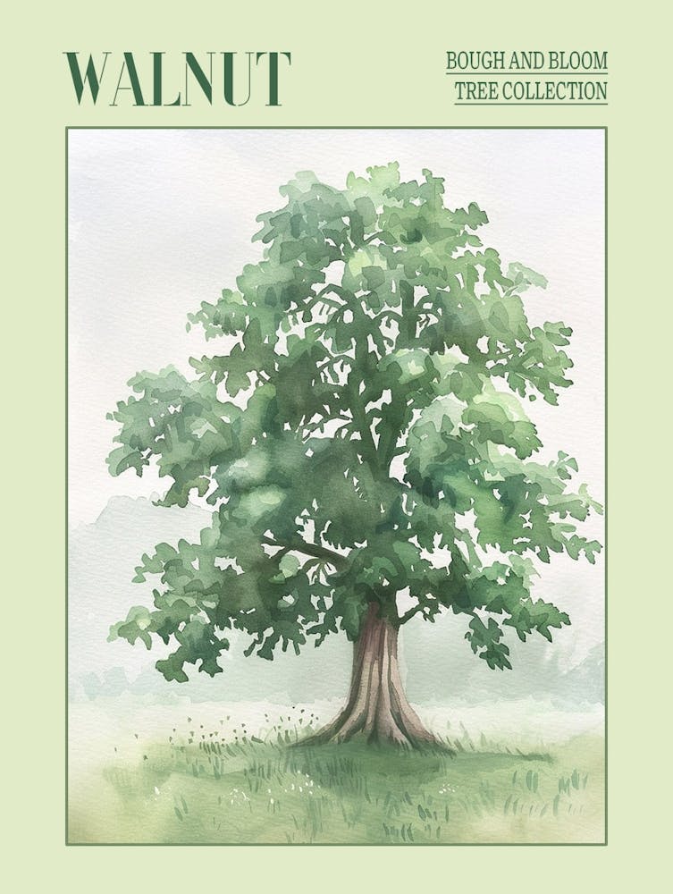 Walnut Tree Atmospheric Watercolour Painting 4 Poster