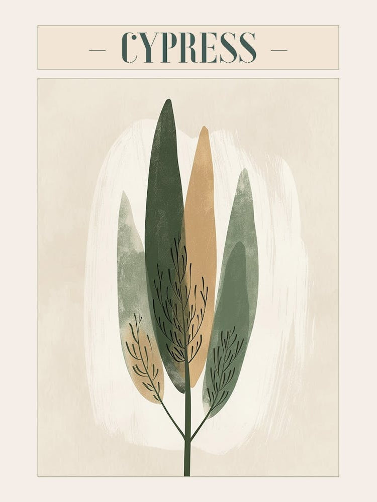 Cypress Tree Minimal Japandi Illustration 4 Poster