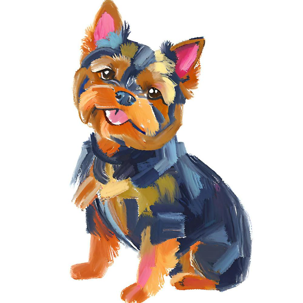 Yorkshire Terrier 04