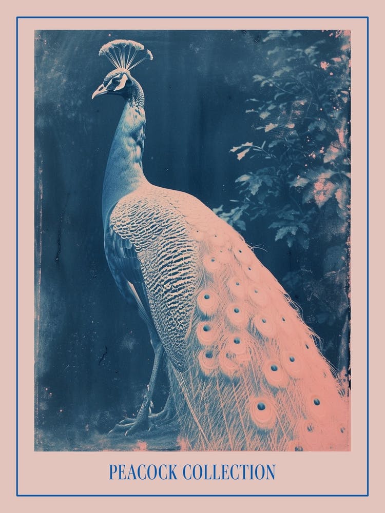 Peacock In The Leaves Cyanotype Inspired 5 Poster