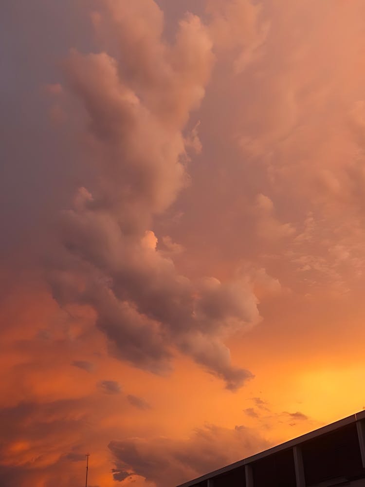 Sunset 11