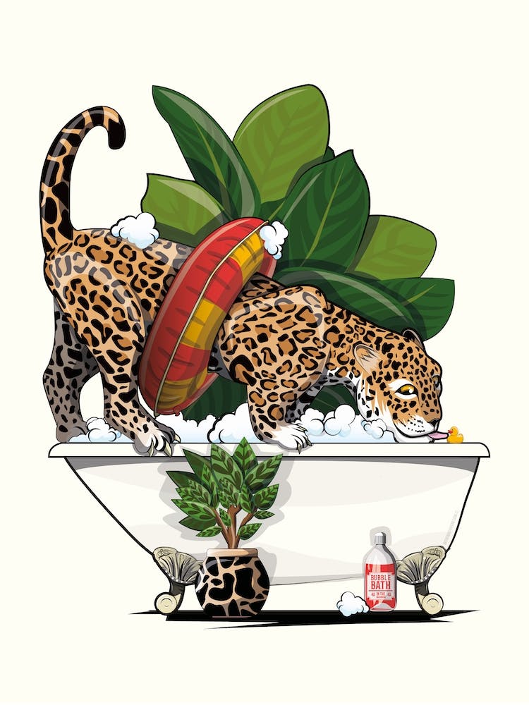 Jaguar Wild Cat On The Bath