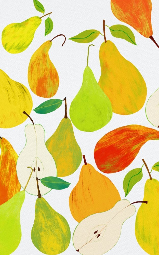 Pear Harvest