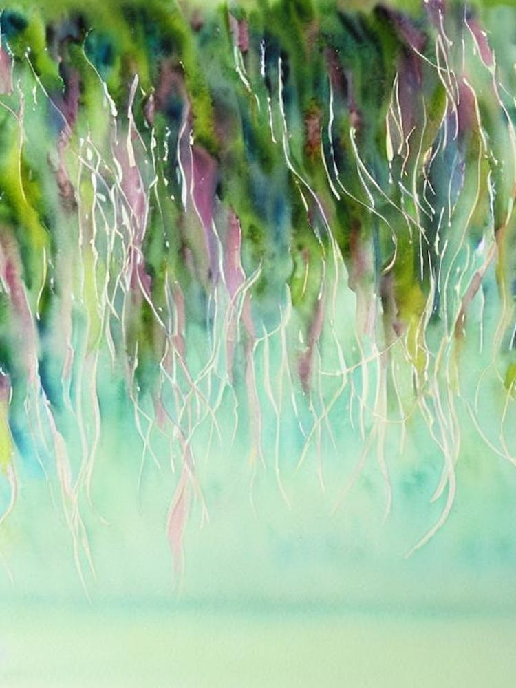 Box Jellyfish Storybook Watercolour