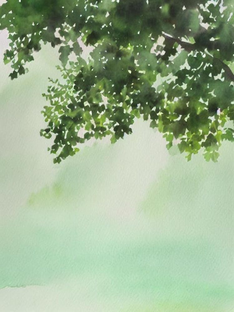 Ling Storybook Watercolour