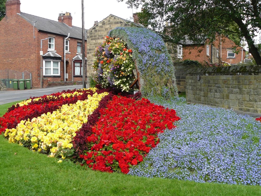 Flower Garden