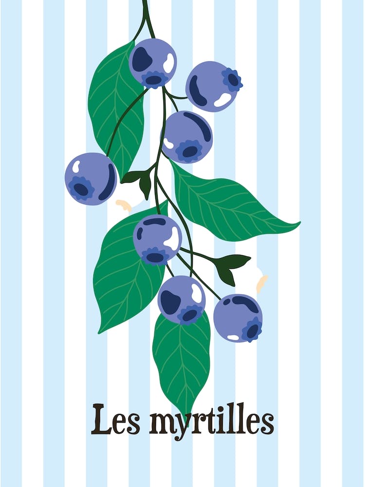 Les Myrtilles