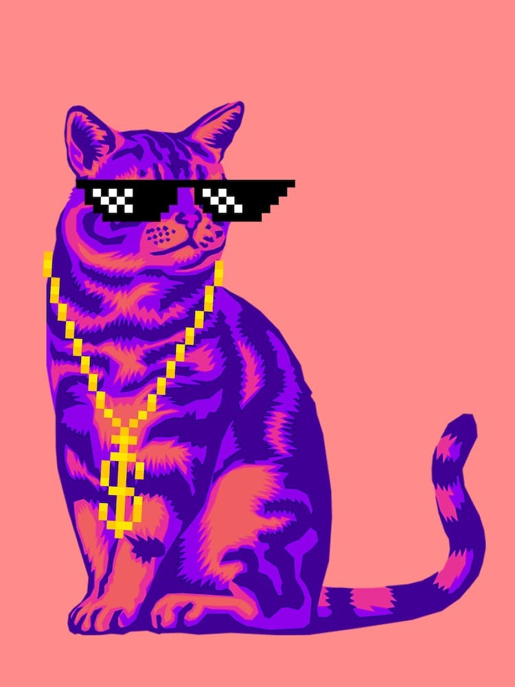 Cat In Sunglasses