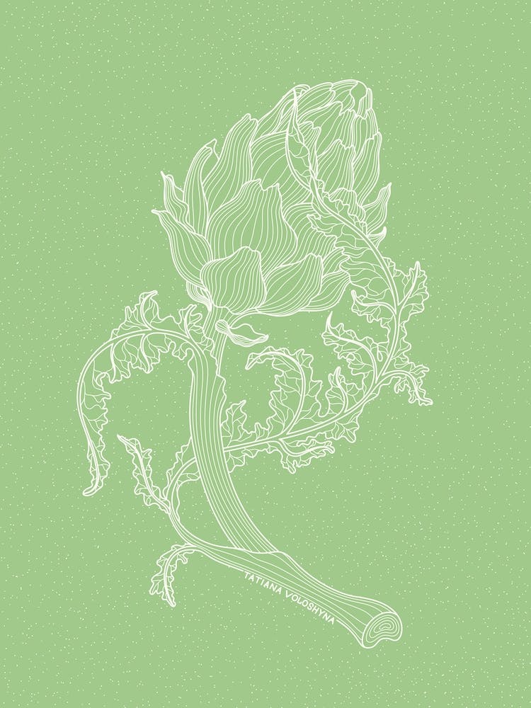 Artichoke Easy Lines