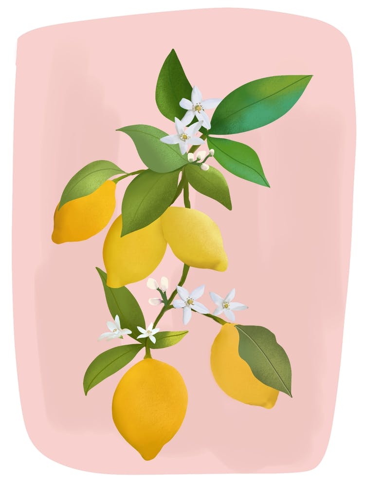 Citrons