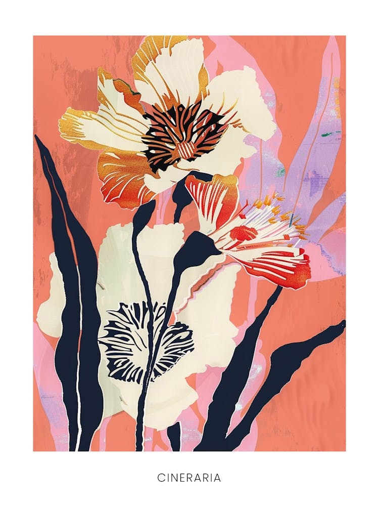 Colourful Flower Illustration Poster Cineraria 7