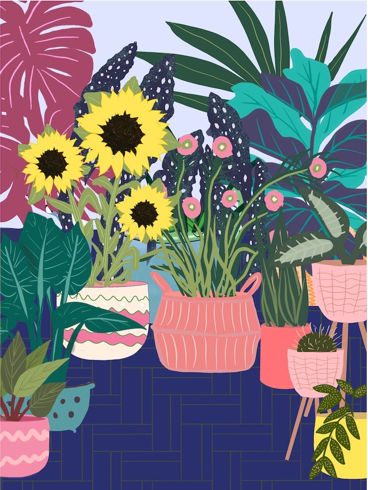 Abstract Sunflowers And Pink Pots