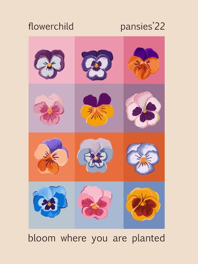 Pansies