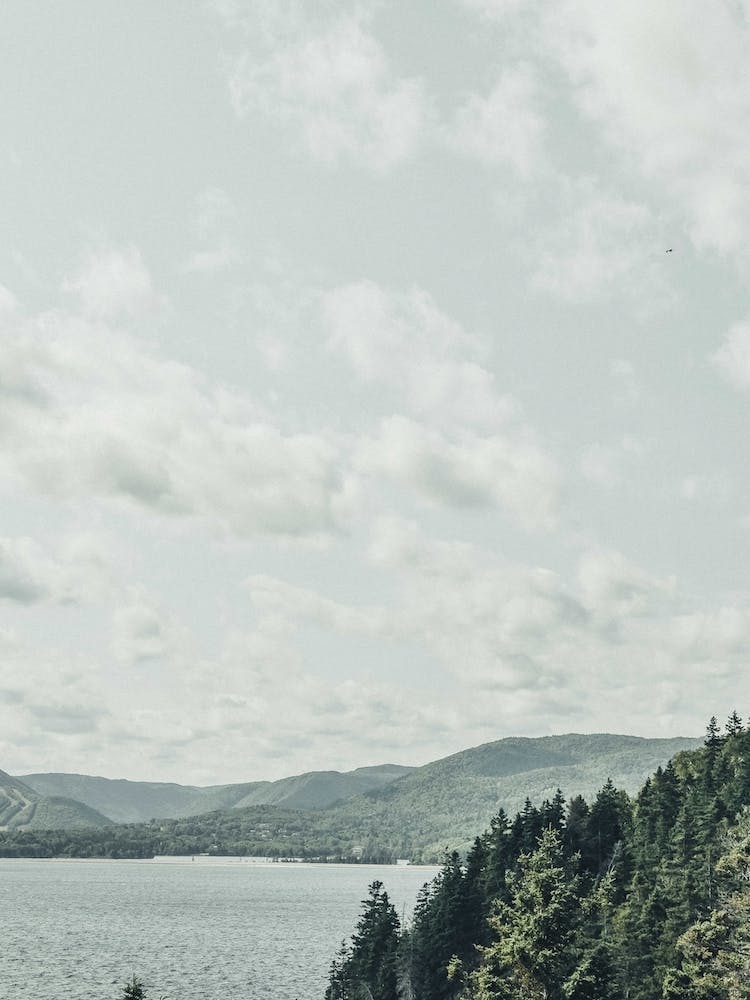 Beautiful Earth Green