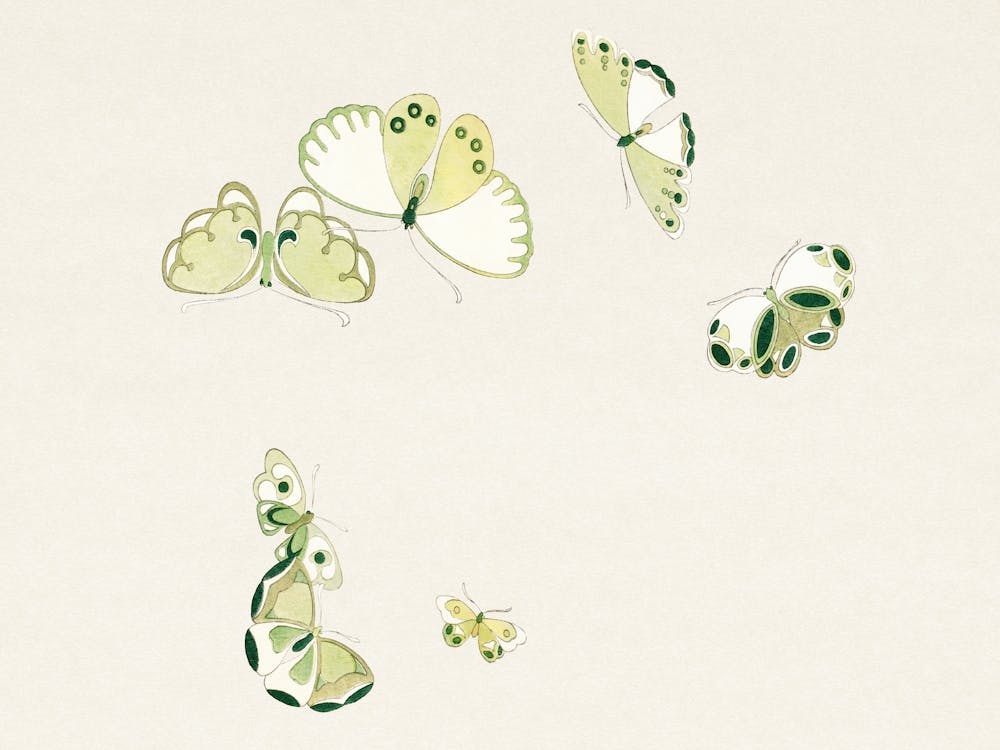 Japanese Woodblock Butterfly, Cho Senshu (3)