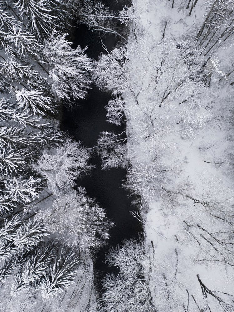 Black River Through The Snowy Winter Forest