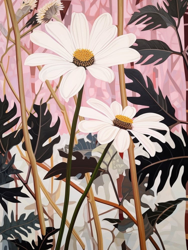 Flower Illustration Oxeye Daisy 3