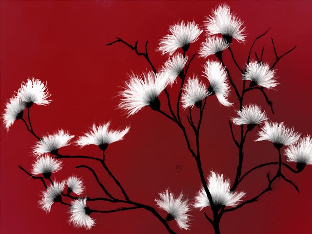 White Flowers On A Red Background