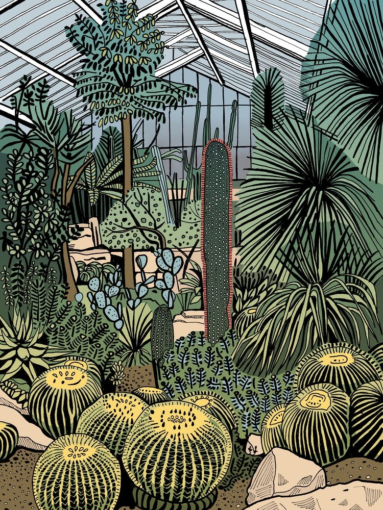 Kew Gardens Cacti