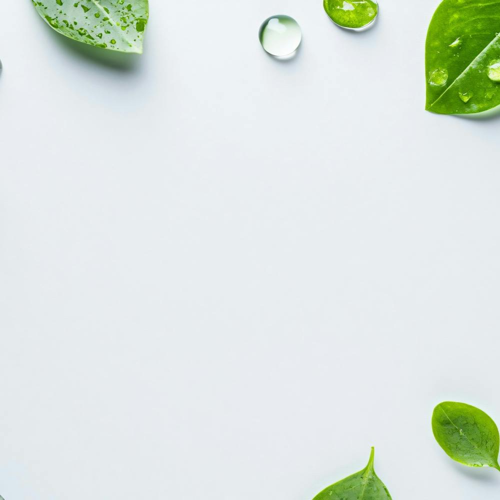 Green Leaves On White Background 1