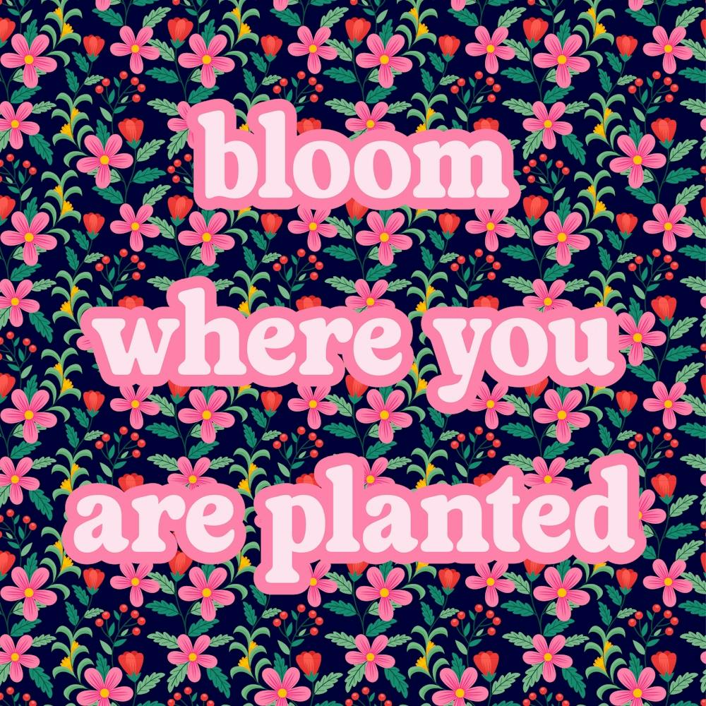 Bloom Where You Are Planted II