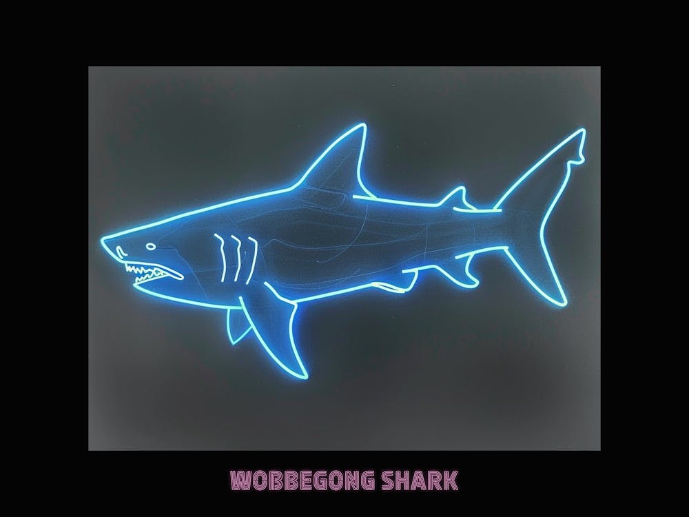 Requin Wobbegong Rose Néon Aqua Affiche 4