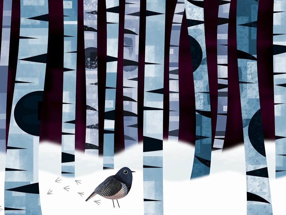 Bird in Snow 1