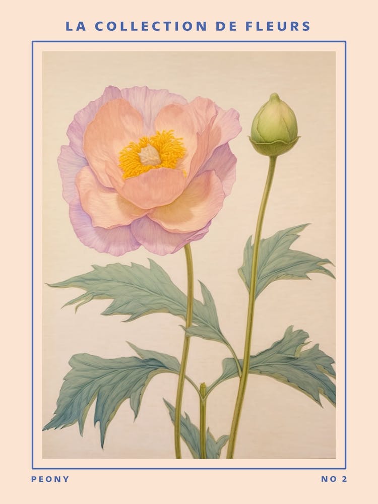 Pfingstrose 2 Französisches Blumen Botanisches Poster