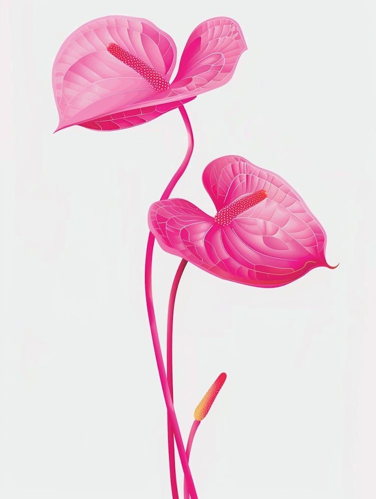 Hot Pink Flamingo Flower 2