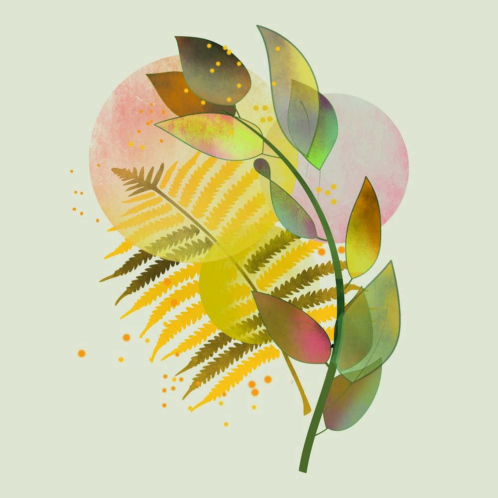 Plant Sheet Botanical Design Background Nature Leaves Drawing Floral Background Color Bohemian Boho